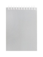 Блокнот BG «Для конференций», А6, 60 листов, на гребне, обложка из мелованного картона, серый - Фото 1