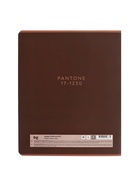 Тетрадь 48 листов, в клетку Pantone color, обложка мелованный картон, матовая ламинация, МИКС - Фото 8