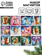 Набор магнитов новогодних «Волшебный Новый Год» полимер 7×7 см 12 шт.  (артикул 10861172)  большой выбор товаров оптом и в розницу по низким ценам с доставкой