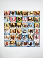 Магниты новогодние «Лошадь», 7×7 см, набор 36 шт., полимер - фото 122241350