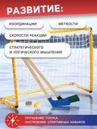 УЦЕНКА Набор для игры в хоккей (клюшка 2 шт., ворота, шайба, мяч), цвет МИКС - Фото 4