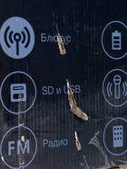 УЦЕНКА Портативная караоке система Dialog Oscar AO-200 ,45Вт, FM, AUX, USB, BT, беспр.микр,3600 мАч - Фото 20
