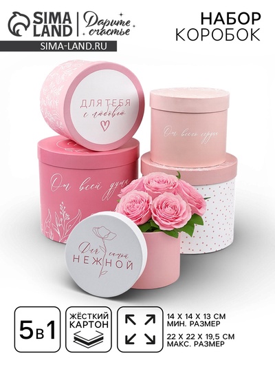 Набор подарочных коробок, упаковка, 5 в 1 «Нежность», 14×13 ‒22×19.5 см