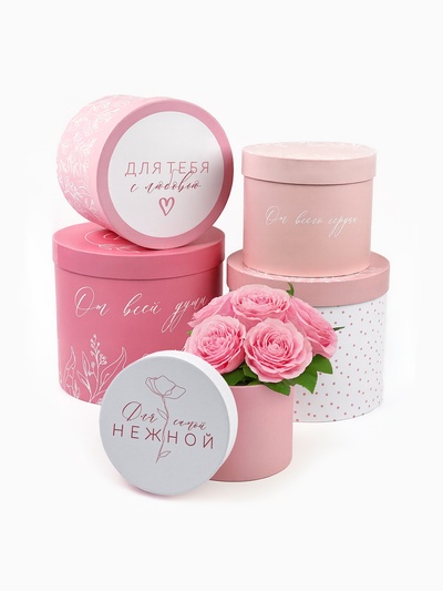 Набор подарочных коробок, упаковка, 5 в 1 «Нежность», 14×13 ‒22×19.5 см