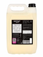 Гель для стирки Septivit Special Black Pepper, парфюмированный, для всех видов тканей, 5 л - Фото 2