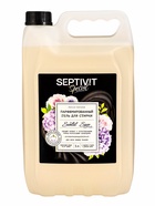 Гель для стирки Septivit Special Santal Sage, парфюмированный, для всех видов тканей, 5 л - Фото 1