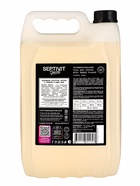 Гель для стирки Septivit Special Santal Sage, парфюмированный, для всех видов тканей, 5 л - Фото 2