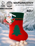 Маршмеллоу в новогоднем носке «Подарок от Дед Мороза», 40 г 10885198