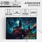 УЦЕНКА Алмазная вышивка с полным заполнением "Замок" 30*40 см, холст, емкость - Фото 1