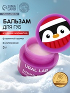 URAL LAB, бальзам для губ, 3 г, ягодный мармелад (комплект 5 шт) - фото 51926416