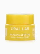 Бальзам для губ, 3 г, аромат мангового сорбета, URAL LAB - Фото 4