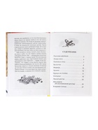 Книга детская для внеклассного чтения «Кладовая солнца», Пришвин М. - Фото 6
