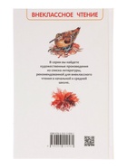 Книга детская для внеклассного чтения «Белый Бим Чёрное ухо», Троепольский Г.Н. - Фото 10