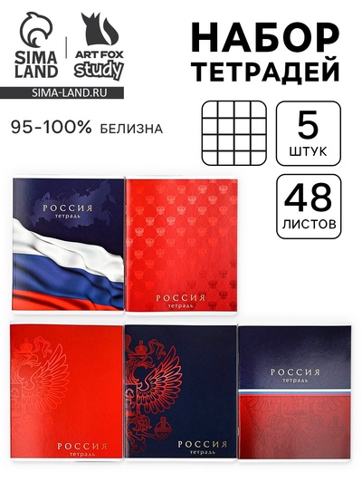 Тетради в клетку, 48 л., набор из 5 шт., блок №1 «Россия»