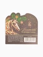 Монета новогодняя сувенирная «Успеха в новом году», диам. 2.2 см - фото 6593502