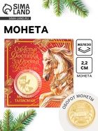 Монета новогодняя сувенирная «Счастья, достатка, здоровья, успехов», диам. 2.2 см - фото 116600980