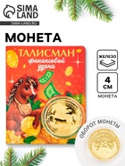 Монета новогодняя сувенирная «Талисман финансовой удачи», диам. 4 см - фото 116601019