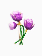 Брошь «Цветок тюльпана», фиолетовый, зелёная в золоте - Фото 1