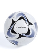 Футбольный мяч ONLYTOP, машинная сшивка, 32 панели, р. 5, PVC, резиновая камера, белый, голубой - Фото 5