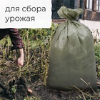 Мешок ПП 55×95 см, на 50 кг, зеленый, набор 10 шт. - фото 63625726