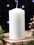 Свеча-цилиндр с накаткой «Лошадь в профиль», 50×100 мм, белая - Фото 3