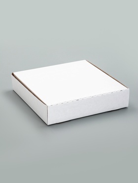 Упаковка для пирога, белая, 23?23?5 см (комплект 20 шт)