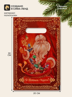 Пакет подарочный, полиэтилен, «Дед Мороз», 20×30 см