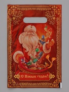 Пакет подарочный, полиэтилен, «Дед Мороз», 20×30 см - Фото 3