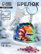 Брелок для ключей на кольце «Лошадь. Берегу дом», 4×4 см - Фото 1