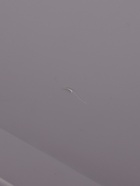 УЦЕНКА Контейнер д/хранения с крышкой 32л 65,9х41,6х17,5см "Porter" прямоуг, цвет серый - Фото 9