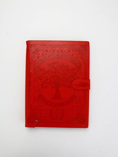 УЦЕНКА Родословная книга "Книга нашей семьи", красн., 31 х 22 см