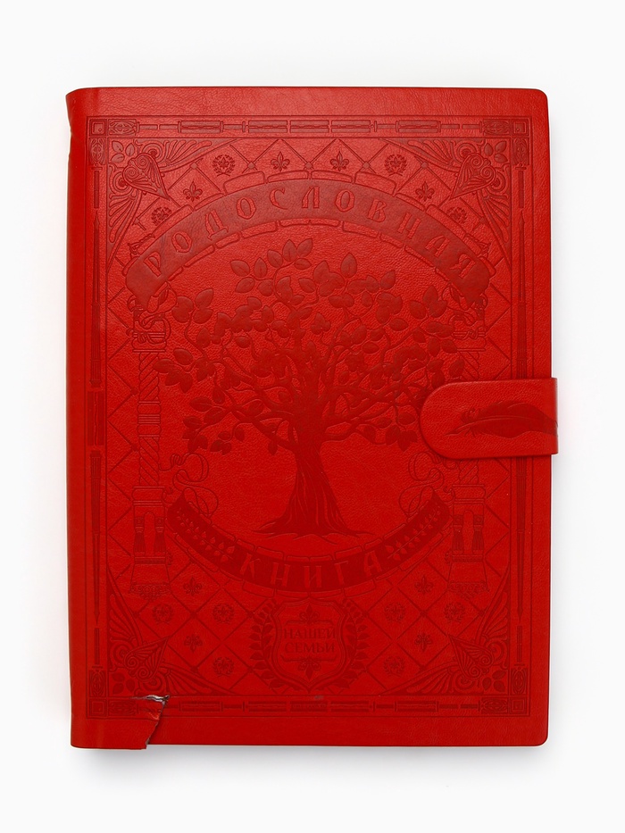 УЦЕНКА Родословная книга «Книга нашей семьи», красная, 31×22 см - Фото 1