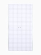 Блокнот 10?10, 16 листов в клетку «Капибарки» (комплект 20 шт) - фото 52745486