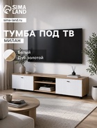 Белый/Дуб золотой