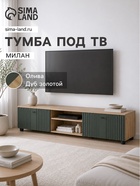 Олива/Дуб золотой