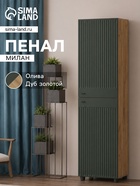 Олива