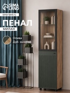 Олива