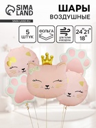 Воздушные шары «Кошечка с короной», набор 5 шт. - Фото 1