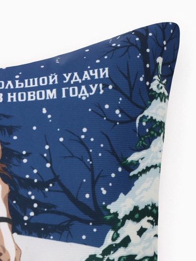 Подушка декоративная «Этель. Большой удачи», 40×40 см, велюр