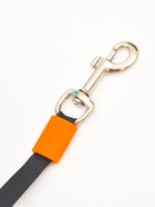 Рулетка - поводок для собак, лента 3 метра, оранж/голубая - Фото 5