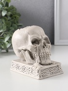 Подсвечник на 1 свечу «Череп на пьедестале», 10×7×10.5 см, серый - Фото 2