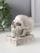 Подсвечник на 1 свечу «Череп на пьедестале», 10×7×10.5 см, серый - Фото 4