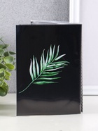 Фотоальбом на 36 фото 10?15 см «Флора», мягкая обложка (комплект 3 шт) - фото 58039870