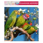 УЦЕНКА Алмазная мозаика б/подр., частич.заполн. «Попугаи » 40×50 - Фото 1