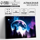 УЦЕНКА Алмазная вышивка полное заполнение «Сказочный лес», на холсте 40×50 см - Фото 1