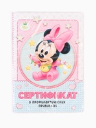 Прививочный сертификат А6, 24 стр "Минни Маус" 10905439 - фото 5997483