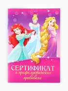 Прививочный сертификат А6, 24 стр «Принцессы» - Фото 2