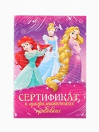Прививочный сертификат А6, 24 стр "Принцессы" 10905441 - фото 5997493
