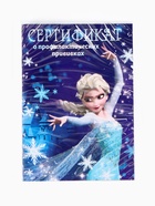 Прививочный сертификат А6, 24 стр "Холодное сердце" 10905443 - фото 5997513