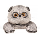 Мягкая игрушка «Кот Басик в очках», 27 см - фото 6644768